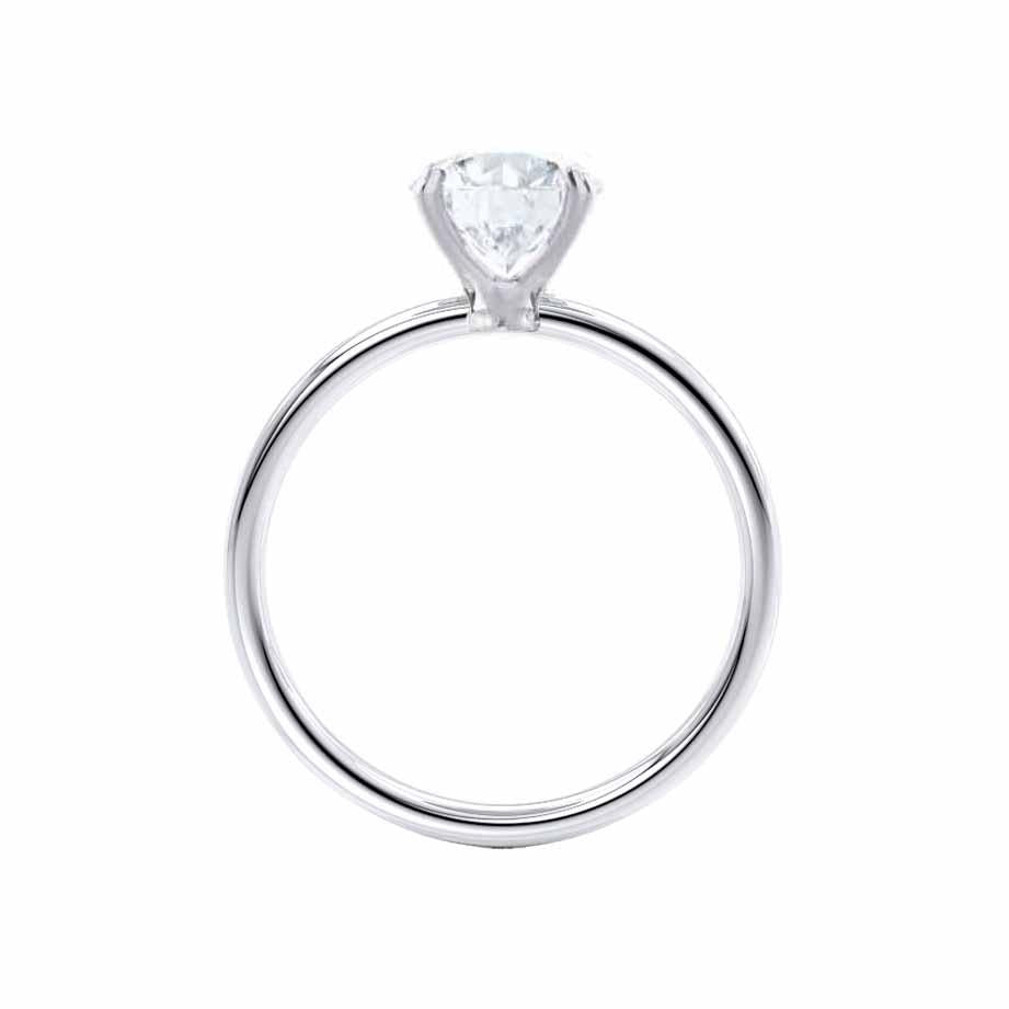 LAW438