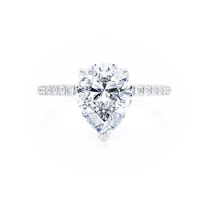 LAW364